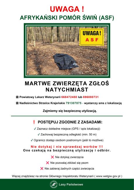 UWAGA !  AFRYKAŃSKI POMÓR ŚWIŃ (ASF)