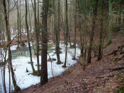 leśnictwo Chomętowo (fot. D.Wacławska)