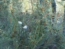 Bagno (fot. G.Makowski)