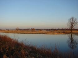 Nad Notecią (fot. H.Jurczyszyn)