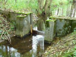 Mała retencja (fot. P.Gzyl)