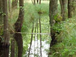 Mała retencja w leśnictwie Wilanów (fot. P.Gzyl)