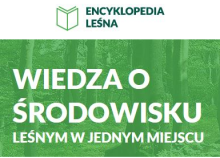 ENCYKLOPEDIA LEŚNA