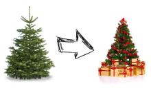 Od drzewka do choinki, czyli świąteczny rytuał