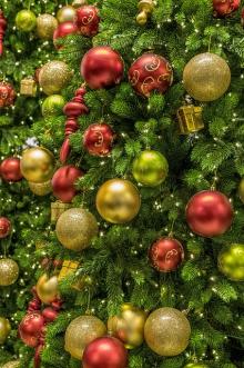 Jarmark Świąteczny - Sprzedaż drzewek