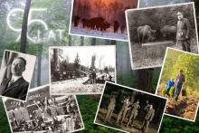 95 lat Lasów Państwowych - tradycja i nowoczesność