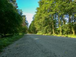 Przebudowana droga gminna Sławno - Przyłęg w ramach inwestycji wspólnych przebiegająca przez las - 2017 rok