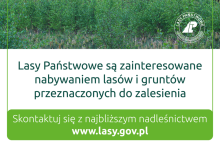 Ogłoszenie o możliwości zakupu lasów lub gruntów przeznaczonych do zalesienia