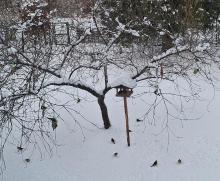 Polecamy zajęcie na weekend!