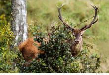 Zrzuty – pomyśl, zanim wyruszysz zbierać.
